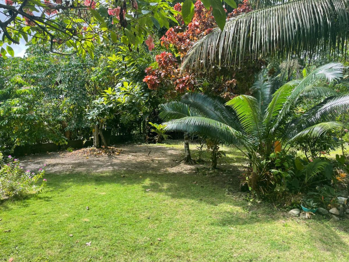 Cabanas Tucan Eco Hotel Capurgana Exterior photo